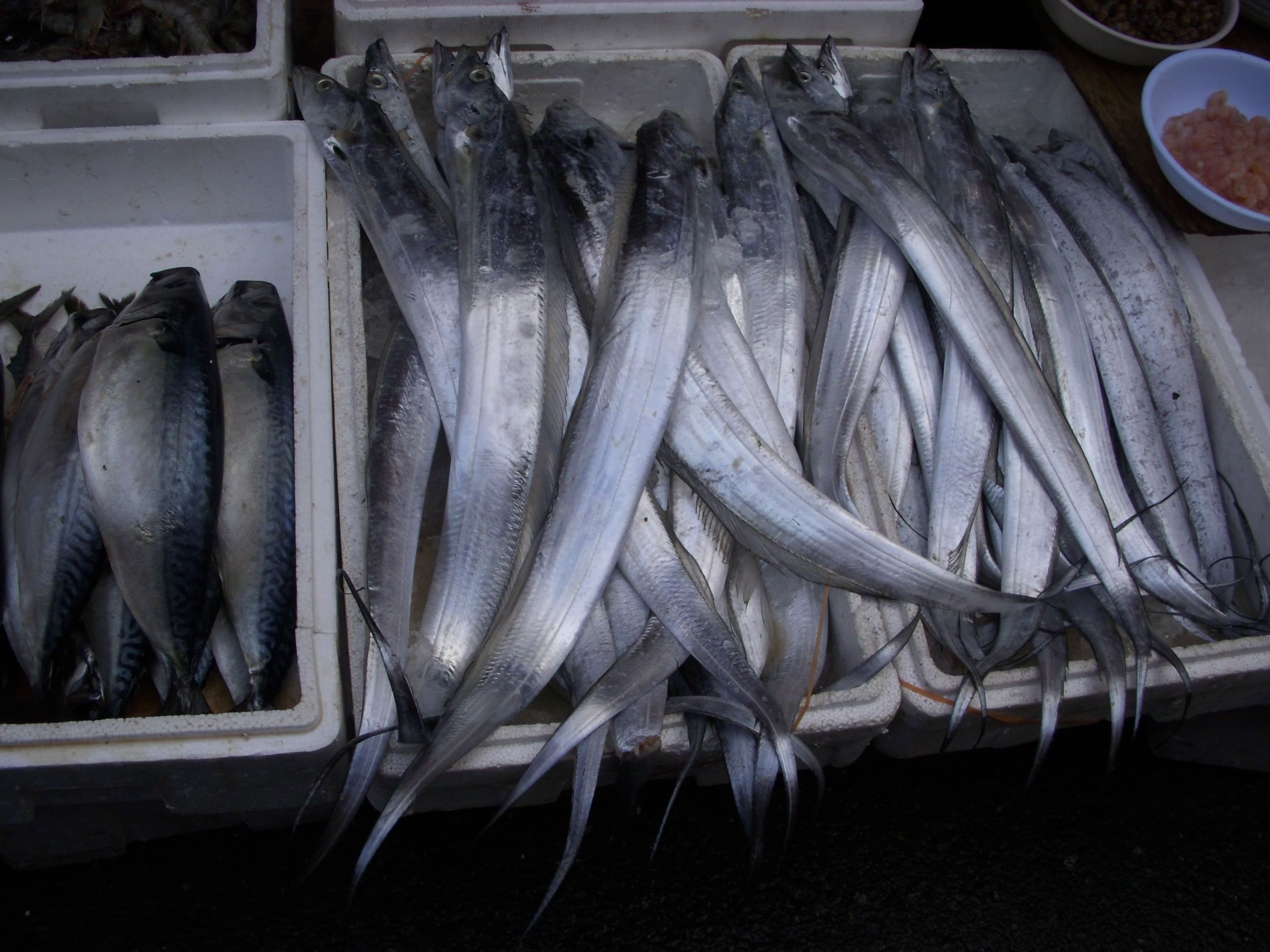 belt fish ‹ Cooking at Debra's