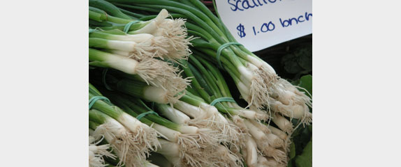 Korean Scallion Pancakes