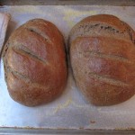Baking bagels and rye bread from scratch, oh my!
