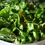 The Village Greens